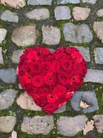 stort hjerte i røde roser til begravelse